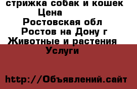 стрижка собак и кошек › Цена ­ 1 000 - Ростовская обл., Ростов-на-Дону г. Животные и растения » Услуги   